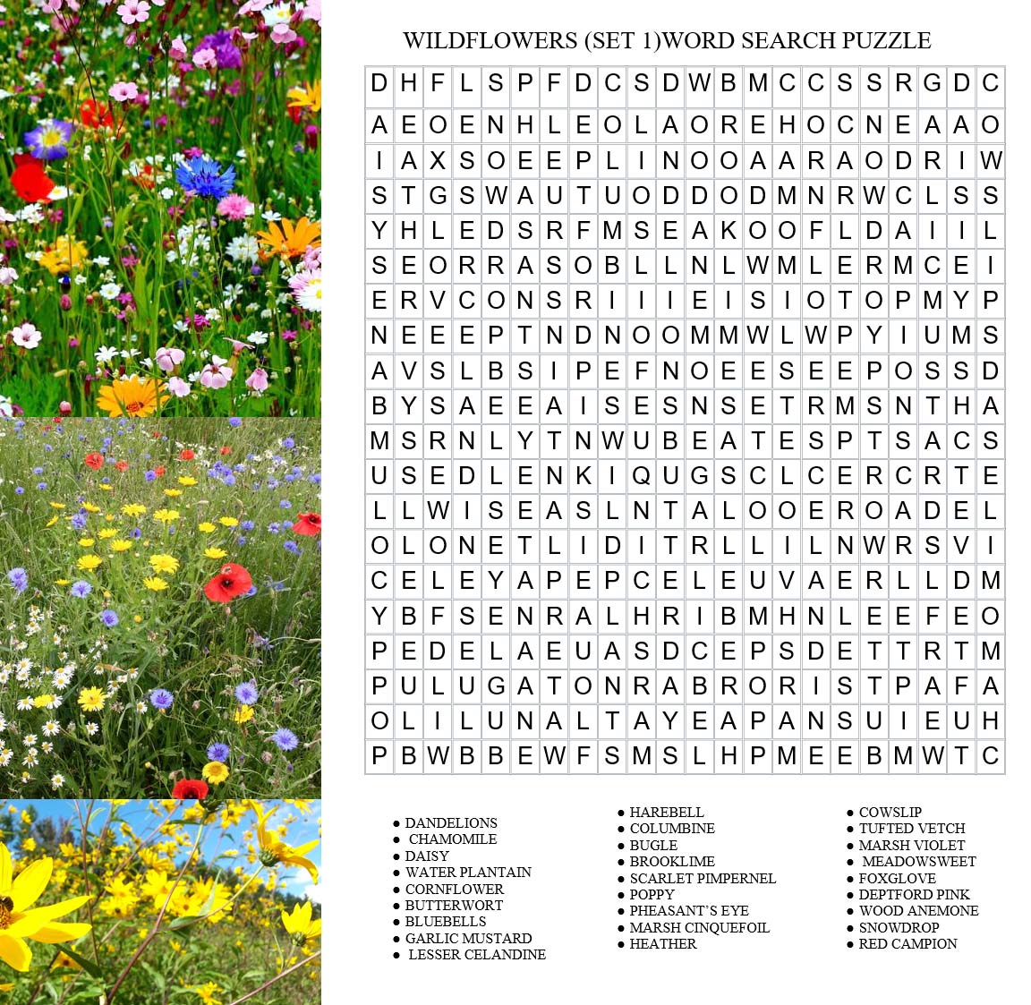 Flower Word Search Bilscreen