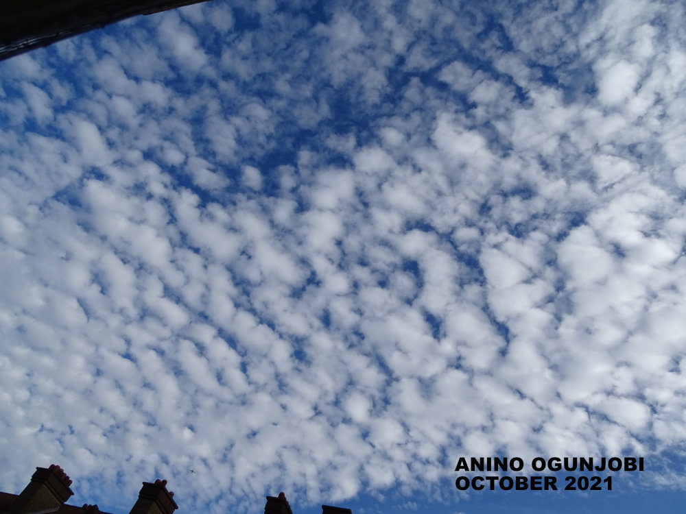 day 30 of 30days with clouds- AltoCumulus Stratiformis Perlucidu