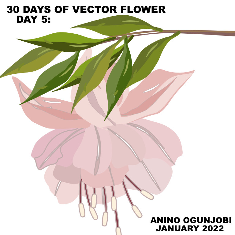 Vector flower – Fuschia by Anino Ogunjobi