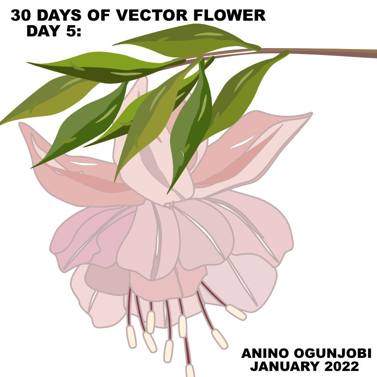 Vector flower – Fuschia by Anino Ogunjobi