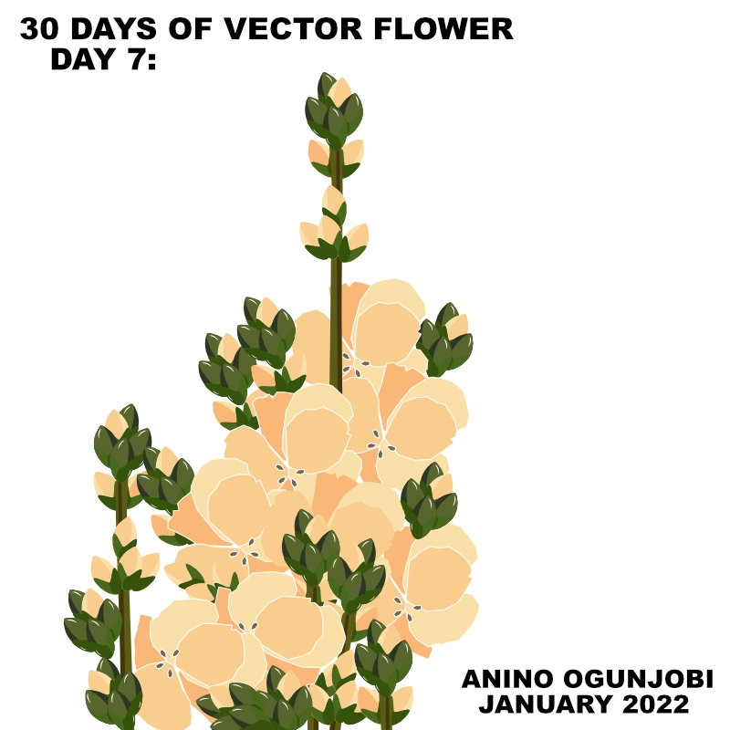 Vector flower – Sidalcea Little Princess Prairie Mallow by Anino