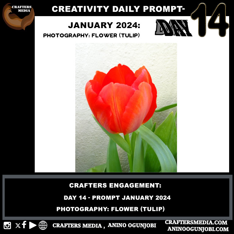 template for blog daily prompt- 366 days of creativity 2024- pho